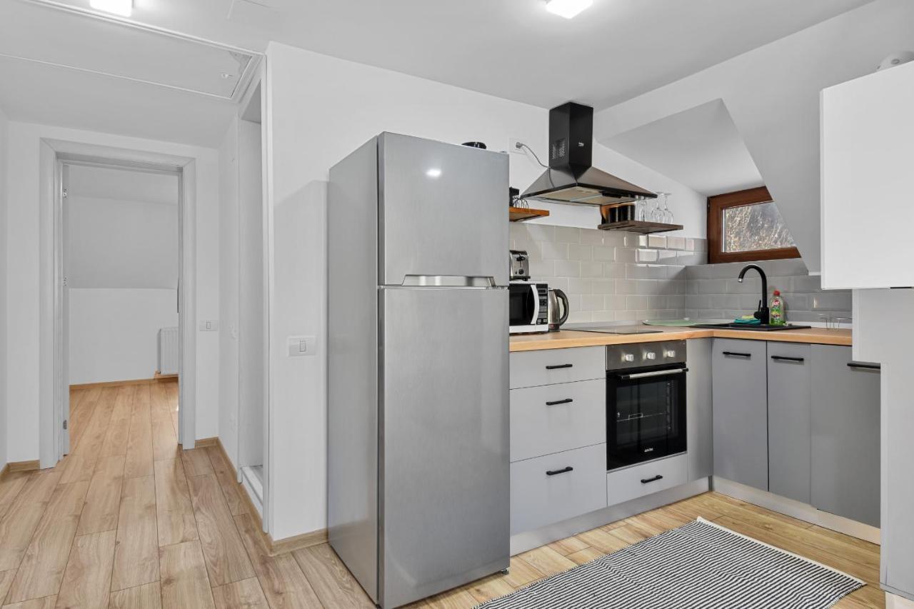 Two Bedrooms Hytta Apartment Sinaia Exteriér fotografie